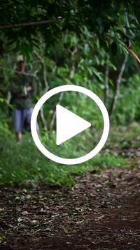 BIB:  <button type="button" onclick="openModal(27291044)" class="btn btn-primary btn-sm float-right" data-toggle="modal" data-target=".modal-high-quality">
                <i class="fa fa-download"></i> Download
                </button>